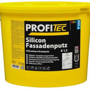 Profi Tec Silicon Fassadenputz
